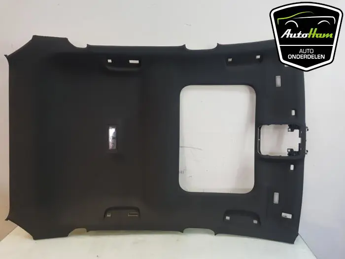 Hemelbekleding Cupra Leon