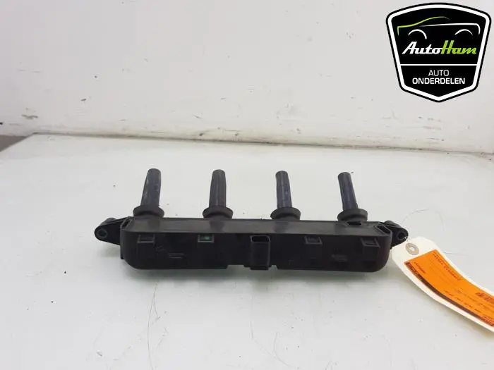 Bobine Peugeot 206 PLUS