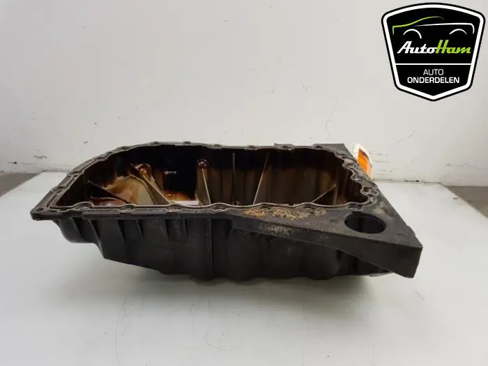 Carterpan Renault Megane