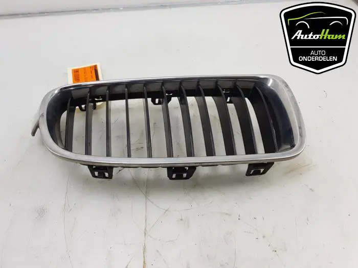 Grille BMW 3-Serie