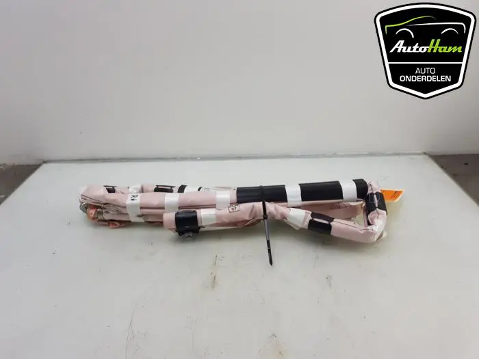 Airbag hemel rechts Ford Fiesta