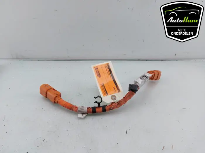 HV kabel (hoog voltage) Volkswagen Golf