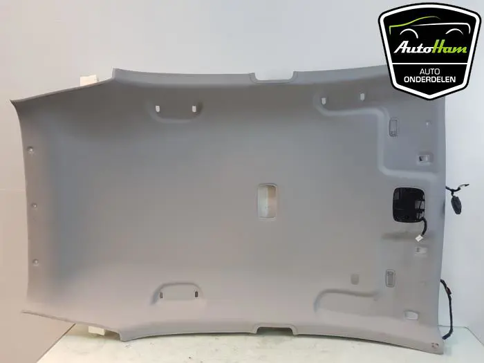 Hemelbekleding Kia Rio