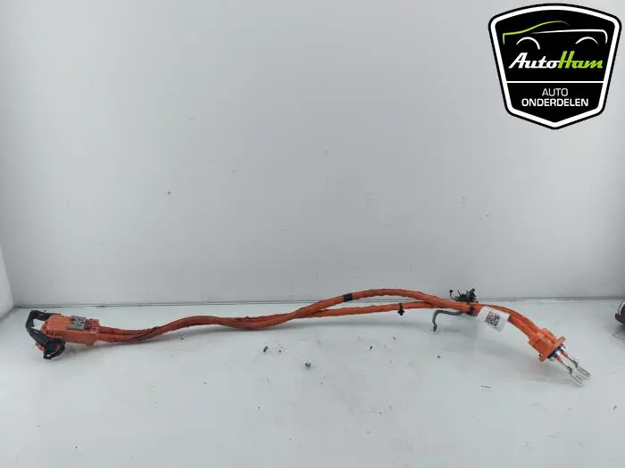 HV kabel (hoog voltage) Volkswagen Golf