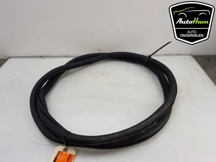 Portierrubber 4Deurs links-achter Volkswagen Golf