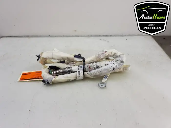 Airbag hemel rechts Renault Megane
