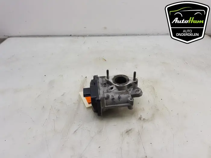 EGR Klep Renault Megane