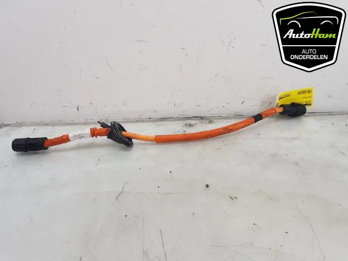 HV kabel (hoog voltage) Mercedes C-Klasse