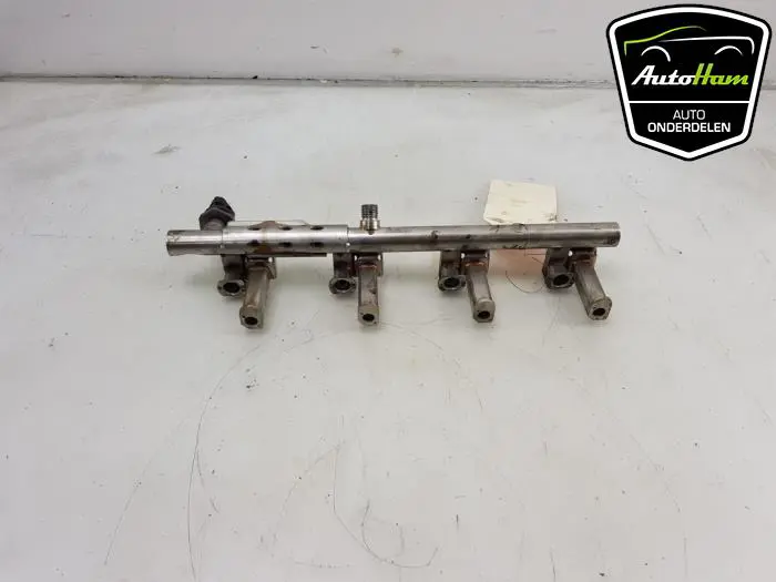Galerij (Injectie) Ford Focus