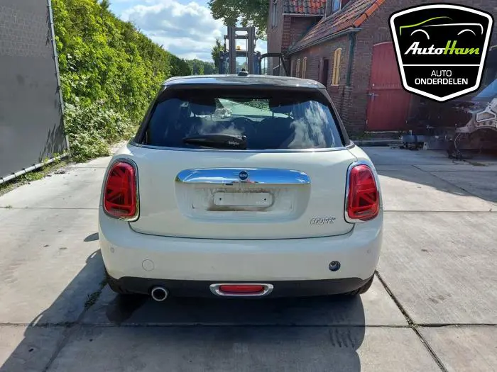 Achterklep Mini Mini