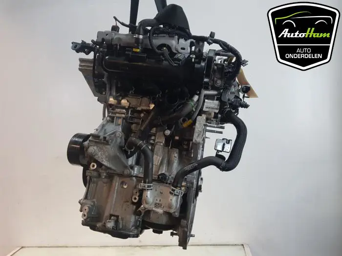 Motor Dacia Sandero