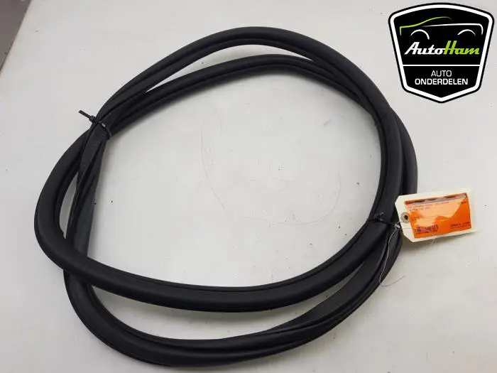 Portierrubber 4Deurs links-achter Volkswagen Polo