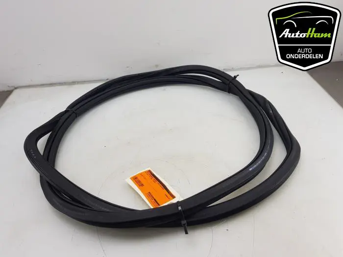 Portierrubber 4Deurs links-achter Volkswagen Golf Sportsvan