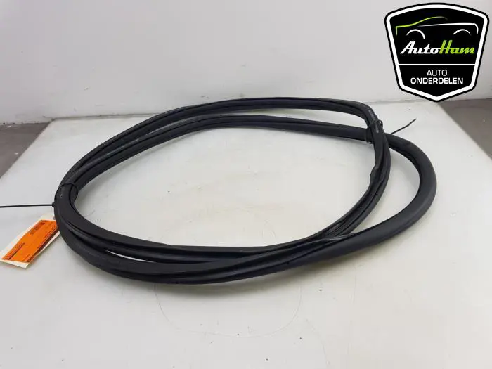 Portierrubber 4Deurs rechts-voor Volkswagen Golf Sportsvan