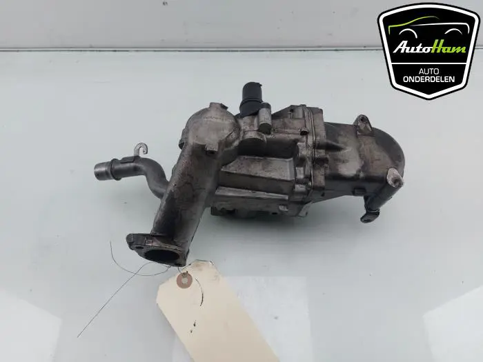 EGR Klep Peugeot Expert