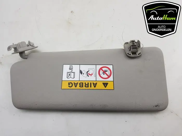 Zonneklep Renault Clio