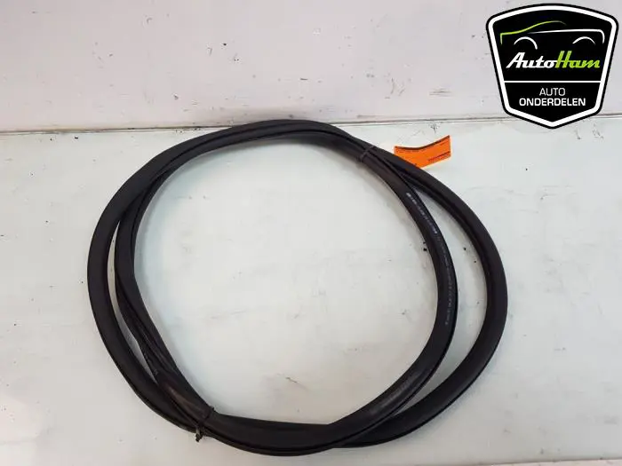 Portierrubber 4Deurs links-achter Volkswagen Golf