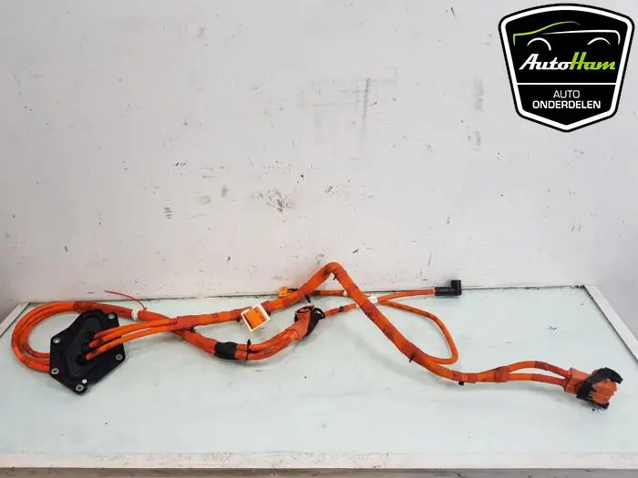 HV kabel (hoog voltage) Landrover Range Rover Sport