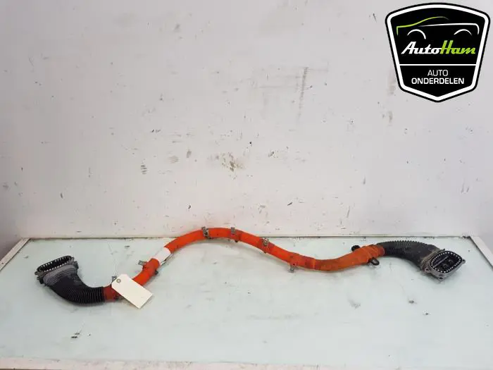 HV kabel (hoog voltage) Landrover Range Rover Sport