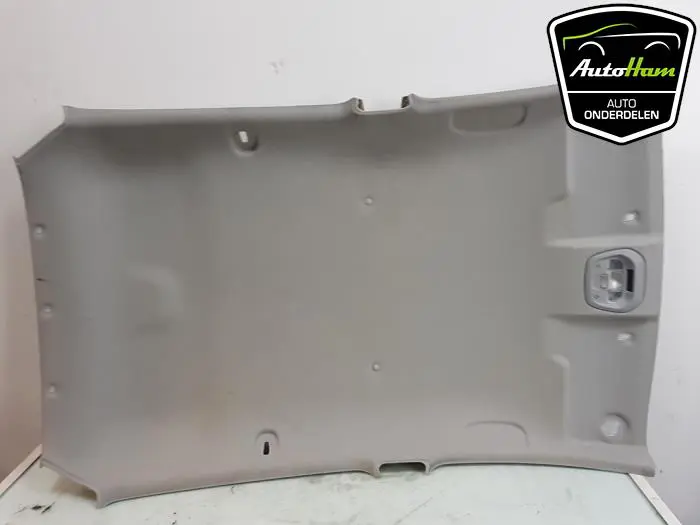 Hemelbekleding Opel Karl