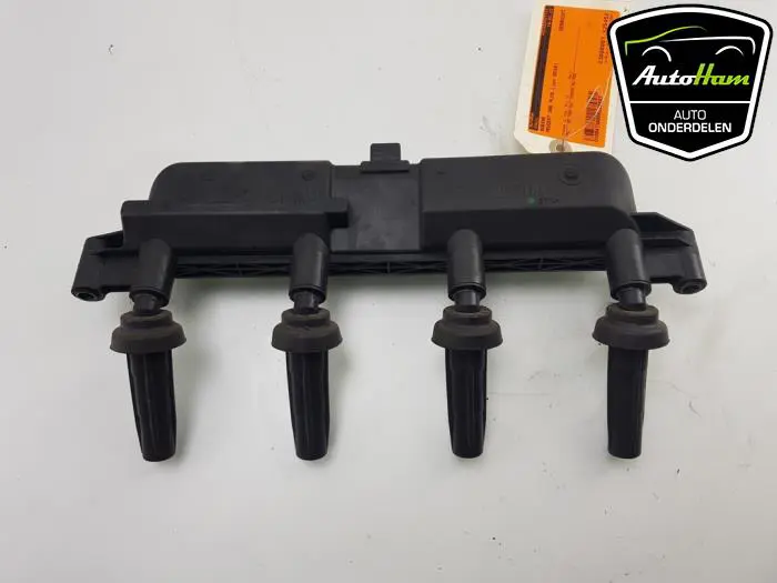 Bobine Peugeot 206 PLUS