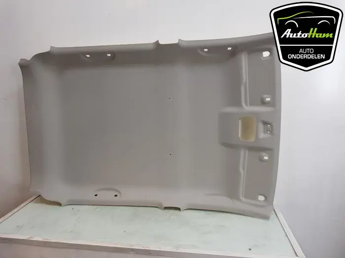 Hemelbekleding Suzuki Celerio