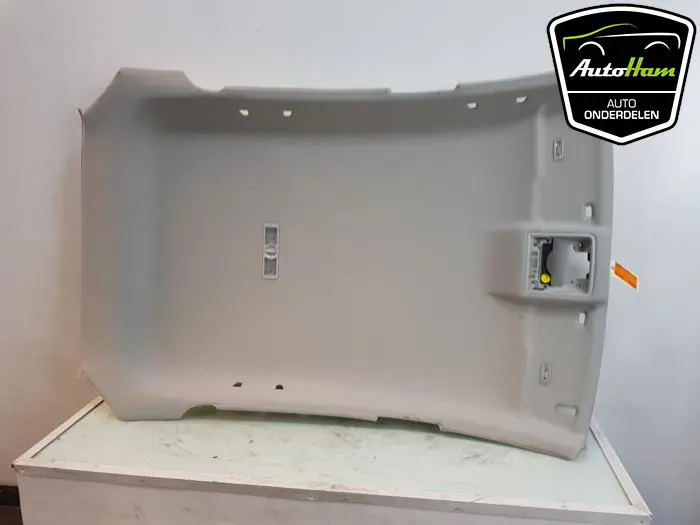 Hemelbekleding Seat Leon