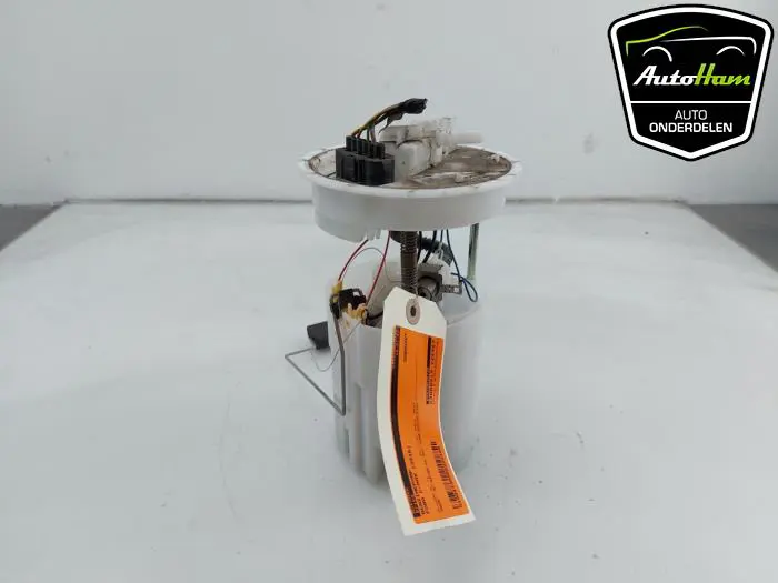 Benzinepomp Ford C-Max