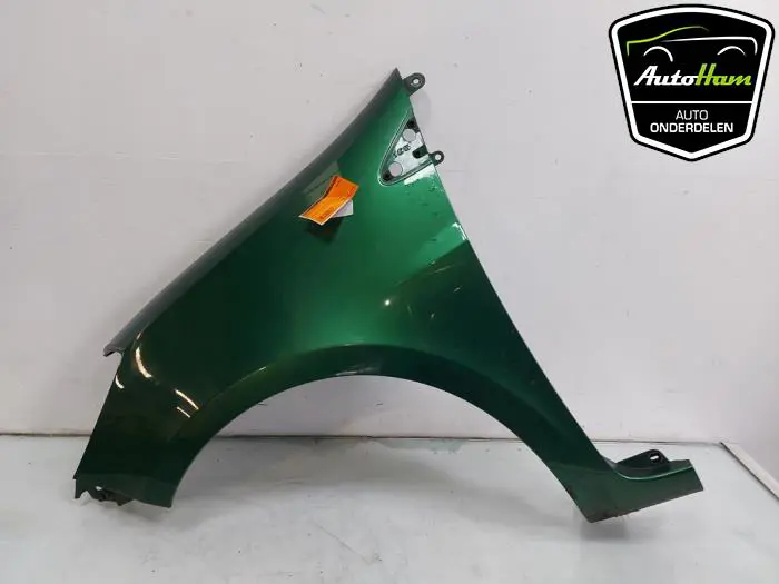 Scherm links-voor Renault Clio