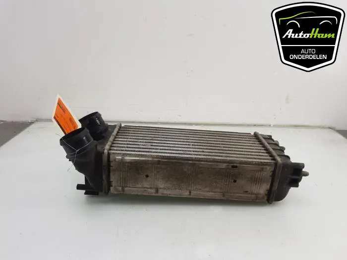 Intercooler Peugeot Partner