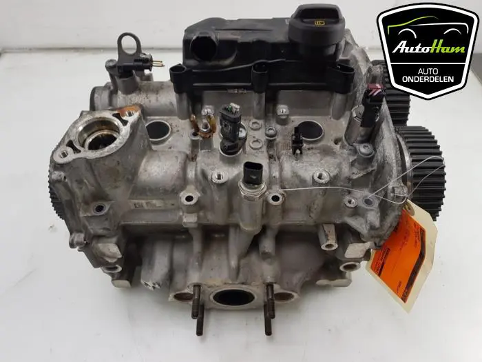 Cilinderkop Seat Ibiza
