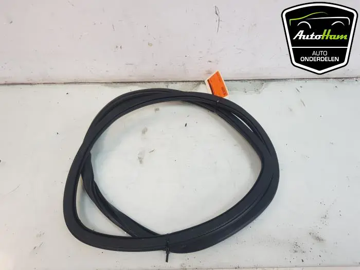 Portierrubber 4Deurs links-achter Volkswagen Polo