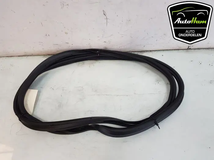 Achterkleprubber Cupra Born