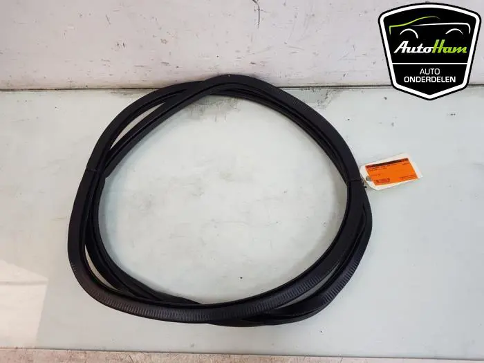 Portierrubber 4Deurs links-achter Cupra Born