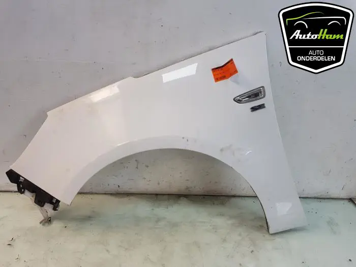 Scherm links-voor Opel Zafira C