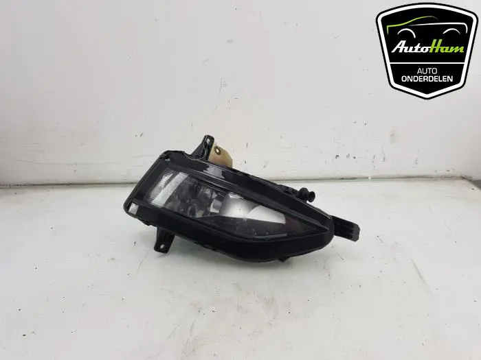 Mistlamp rechts-voor Volkswagen Golf