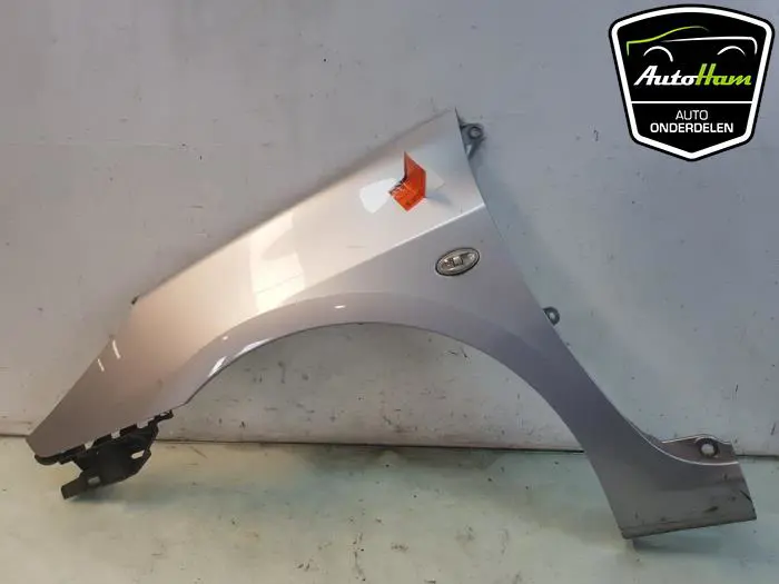 Scherm links-voor Peugeot 307