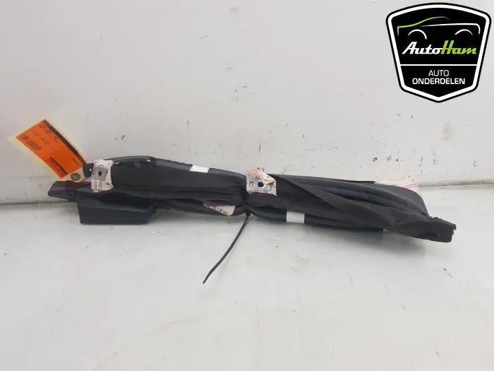 Airbag hemel links Ford B-Max