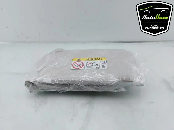 Zonneklep set Ford Ecosport