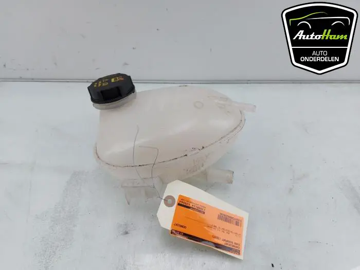 Expansievat Ford Ecosport