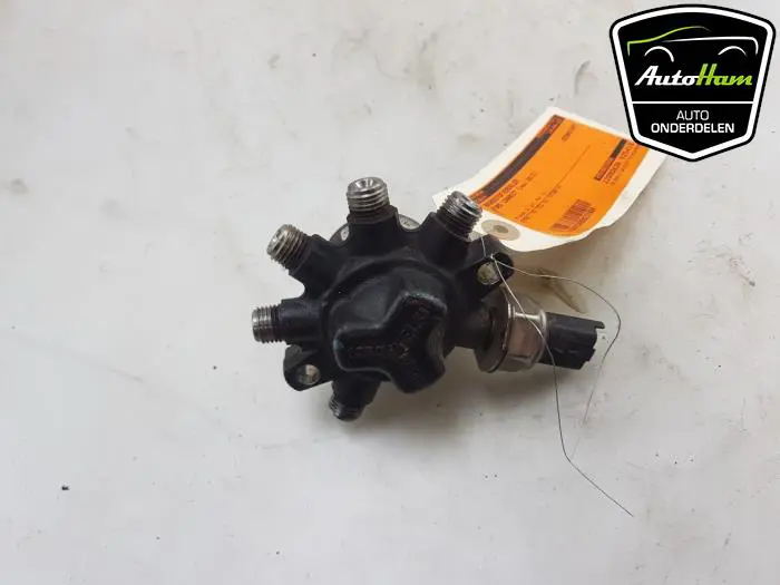 Brandstofverdeler Ford Connect