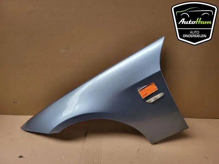 Scherm links-voor BMW 3-Serie