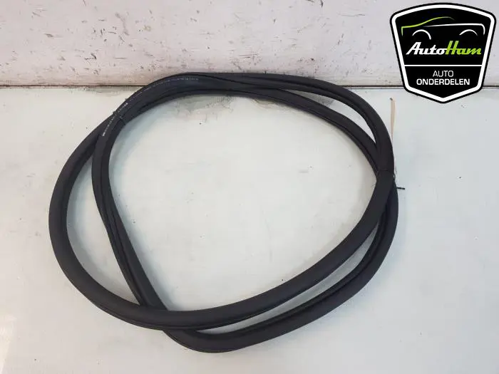 Portierrubber 4Deurs links-achter Volkswagen Golf