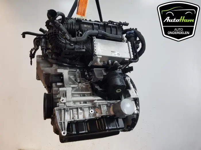 Motor Volkswagen Tiguan