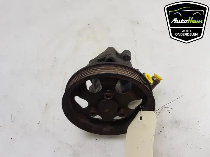 Stuurbekrachtiging Pomp Volkswagen Passat