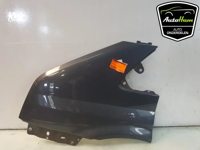 Scherm links-voor Ford Transit