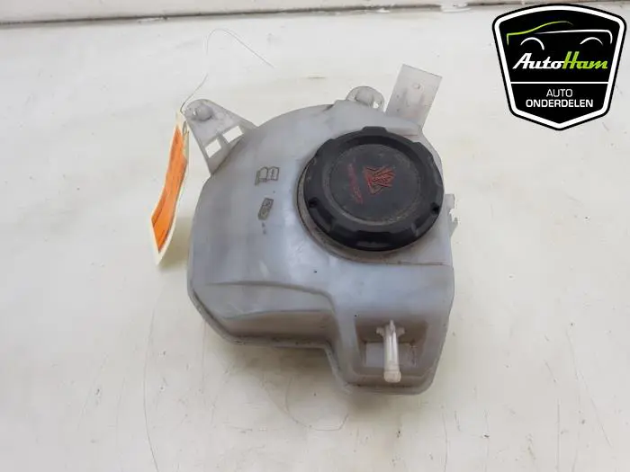 Expansievat Seat Ibiza