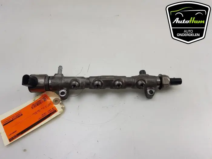 Galerij (Injectie) Volkswagen Golf