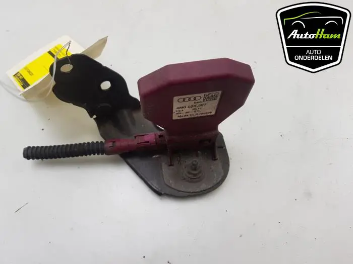 Antenne (diversen) Audi A5