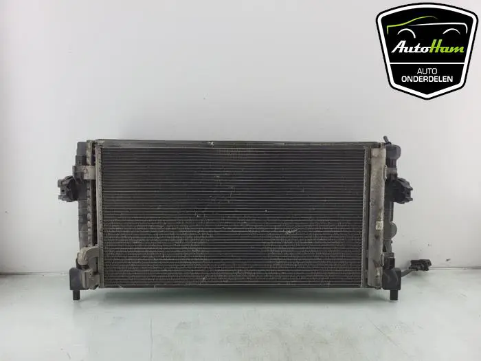 Koelerset Seat Ibiza